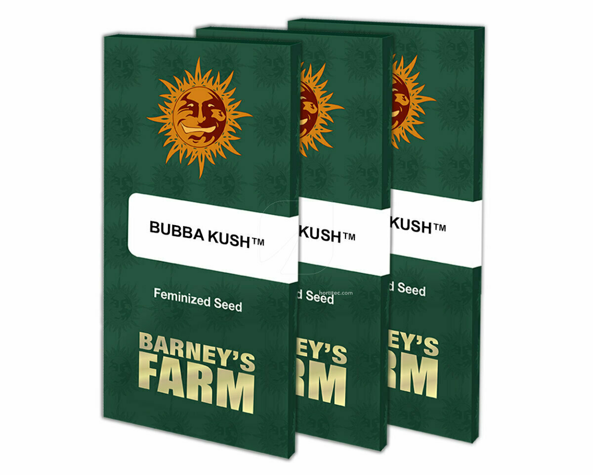 Bubba kush (1) 100 barneys farm Adhortum